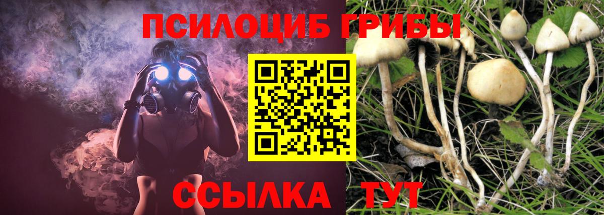 Псилоцибиновые грибы Psilocybe  Вход с VPN  Аргун 